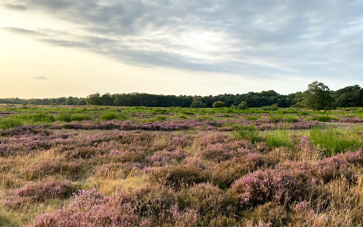 Grofalex - Werken in of naast beschermd gebied