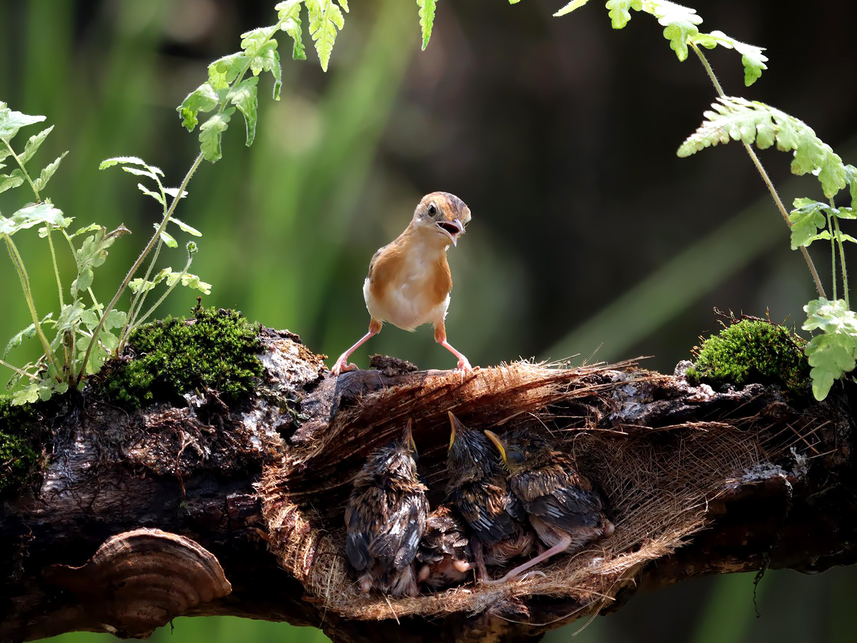 Grofalex ecologisch adviesbureau