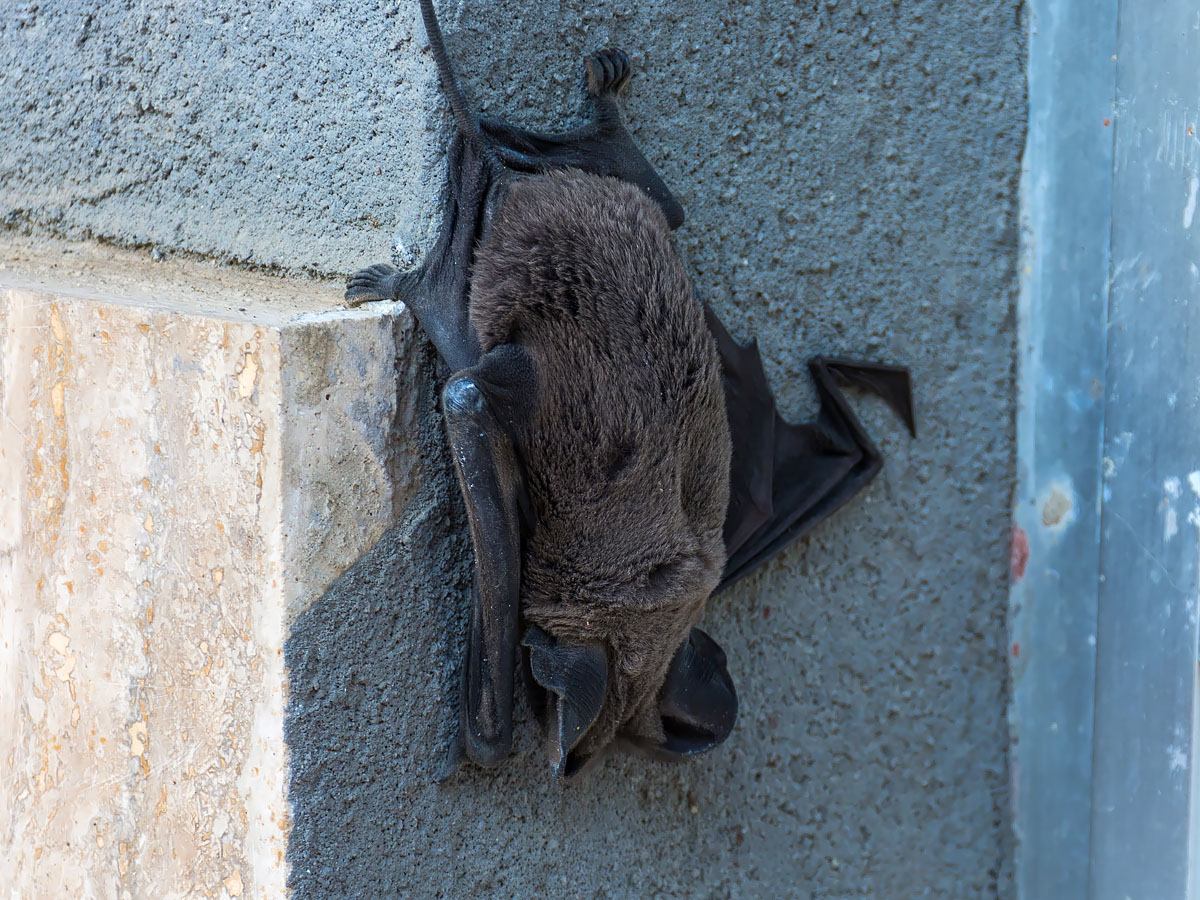 Grofalex ecologisch adviesbureau