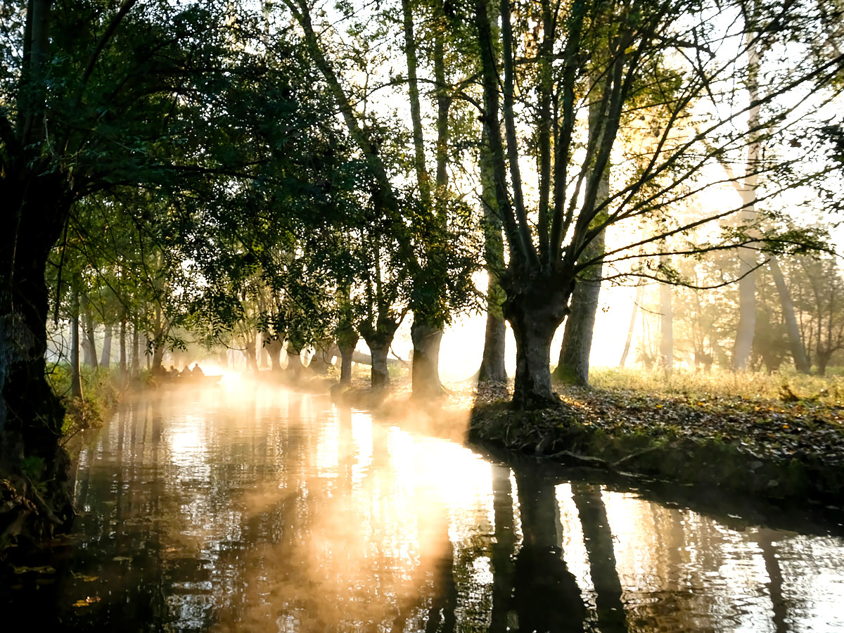 Grofalex ecologisch adviesbureau