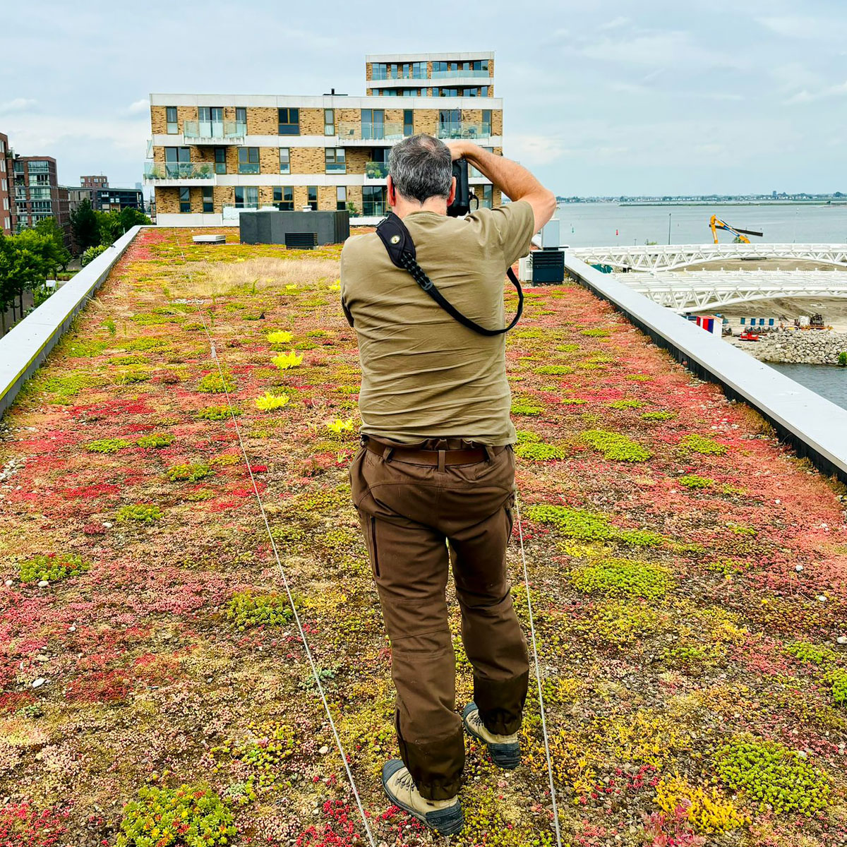 Grofalex - ecologisch advies door heel Nederland