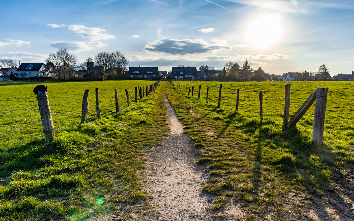 Grofalex - Begeleiding bij ecologische omgevingsvergunningen